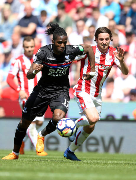 了业内专家 了业内专家